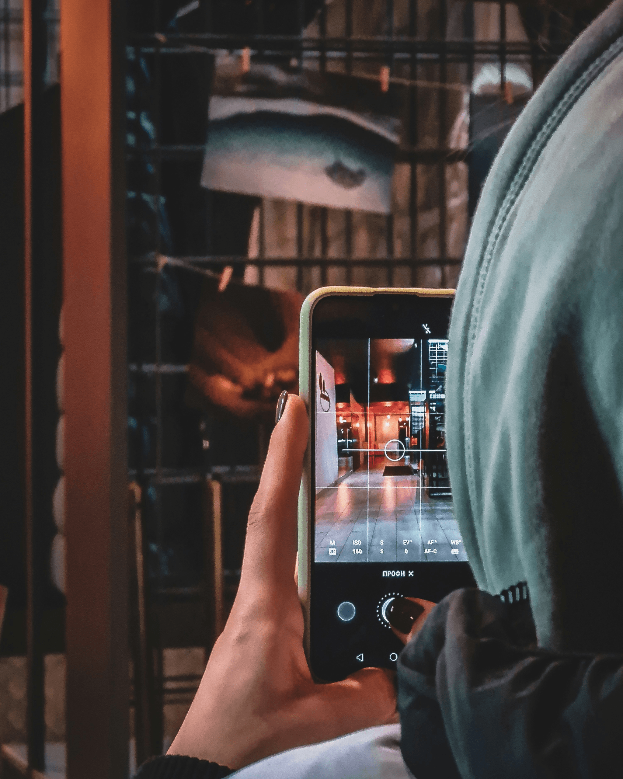 AIを使用した初心者向けの写真撮影のヒント